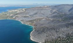 Milas'taki orman yangını 2'nci gününde (3)