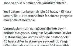 Muğla'da orman yangını (8)