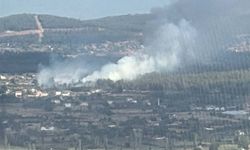 Muğla'da tarım arazisinde çıkan yangın ormana sıçradı