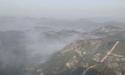Muğla'daki orman yangını, büyük ölçüde kontrol altına alındı