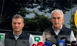 Muğla'daki orman yangını kontrol altına alındı; 350 hektar alan zarar gördü (2)