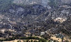 Muğla'daki orman yangını kontrol altına alındı; 350 hektar alan zarar gördü (3)