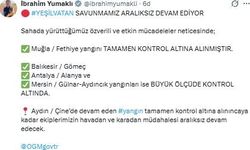 Muğla'daki yangınlarda 5 bin hektardan fazla alan zarar gördü (3)