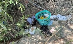 Nehirde kaybolan Eda ve Şahin'i arama çalışmaları 2'nci gününde
