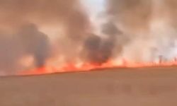 Nusaybin'de mayınlı sınır hattında anız yangını