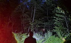 Orman koruma faaliyeti yürüten OBM ekipleri karşılaştıkları ayının fotoğrafını çekti