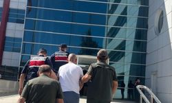 Ormanı yakan şüpheli tutuklandı