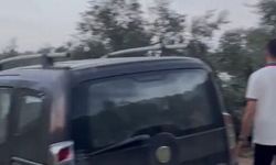 Paraşütleri rüzgarda savrulup zeytin ağacına takılan 2 kişi kurtarıldı; o anlar kamerada