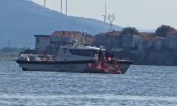 Plajda görülen yavru yunus, gözlerinde enfeksiyon temizlenip denize bırakıldı