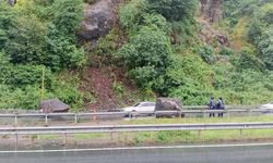 Rize'de dev kayalar sahil yoluna düştü