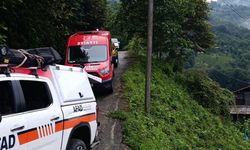 Rize'de kamyonet, şarampole devrildi: 1 ölü, 2 yaralı