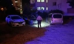 Sahte plakalı otomobiliyle kaçarken çarptığı bekçi yaralandı