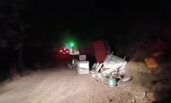 Sakarya'da kamyonet devrildi: 1 ölü, 1 yaralı