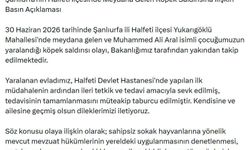Şanlıurfa'da Muhammed'in yaralandığı köpek saldırısına ilişkin mülkiye müfettişi görevlendirildi