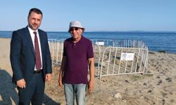 Şarköy sahilinde tespit edilen kum zambakları korumaya alındı