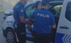 Silivri'de aracıyla sokak köpeğine çarpıp ölümüne neden olan sürücü tutuklandı