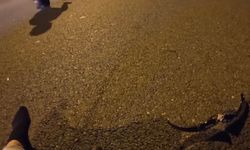 Sultangazi'de 2 motosikletin kafa kafaya çarpıştığı kaza kamerada