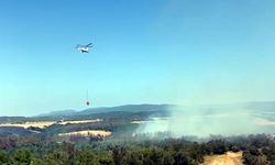 Tekirdağ'da anız yangınında alevler, ormana sıçradı