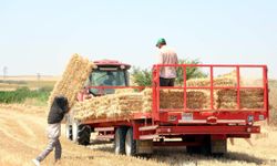 Tekirdağ'da balya bağlama ile açık alanda ateş yakılması yasaklandı