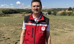 Tekirdağ'da dolu yağışı nedeniyle 35 bin dekar ekili alan zarar gördü, hasar tespiti başladı