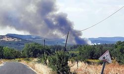 Tekirdağ'da yangında 80 dekar orman zarar gördü