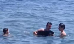 Tekirdağ'da yavru yunus yüzenlerin yanına geldi
