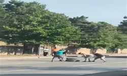 Trafikte sopalarla darba 4 tutuklama