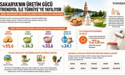 Trendyol: Bebek bisküvisinde Türkiye satışlarının yarıdan fazlası Sakarya'dan