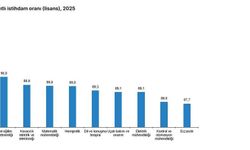 TÜİK: Lisans mezunlarında kayıtlı istihdam oranı yüzde 73,9