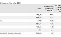 TÜİK: Tarım üretici fiyatları aylık yüzde 9,02 azaldı