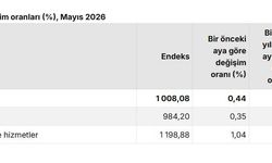 TÜİK: Tarımsal girdi fiyatları mayısta arttı