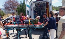 Tunceli'de engerek yılanının ısırdığı kişi helikopterle hastaneye kaldırıldı