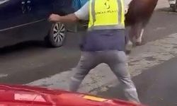 Ümraniye'de kaçan boğa sanayi sitesinde dükkana girdi, çalışanlar panikle kaçtı