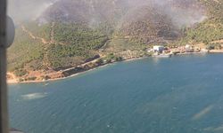 Yalova'da orman yangını (3)