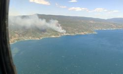 Yalova'da orman yangını