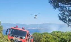 Yalova'da orman yangını/Ek fotoğraflar
