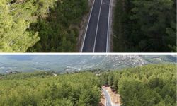 Yangın riskine karşı 16 bin 500 kilometre orman yolu temizlendi