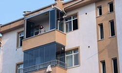 Yangında dumandan etkilenen Duman ve 2 yavrusu kalp masajıyla kurtarıldı