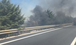 Yol kenarındaki ağaçlık alanda çıkan yangın kontrol altına alındı