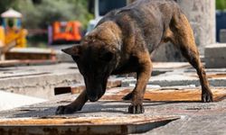 11 yılda yetiştirdiği 4 arama köpeğiyle, sayısız hayat kurtardı