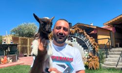 2 cüce keçiyle kurduğu çiftlikte 90 başlık sürüye ulaştı