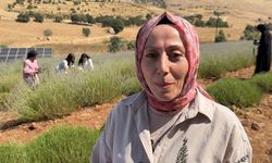 40 yıldır atıl duran arazi, kadınların emeğiyle lavanta bahçesine dönüştü