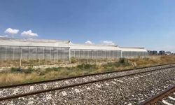 9 sera çalışanı, tarım ilacından etkilendi