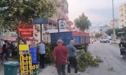 Adana'da traktörden ayrılan römork 2 kişiye çarptı; kaza anı kamerada
