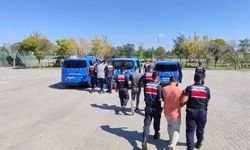Aksaray'da köpek dövüştüren 3 kişiye 39 bin lira ceza