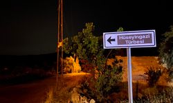 Ankara'da ağaçlık alanda yangın (2)