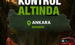 Ankara'da ağaçlık alanda yangın (3)