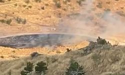 Ankara'da ağaçlık alanda yangın (4)