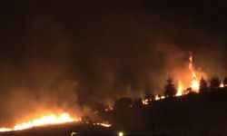 Ankara'da ağaçlık alanda yangın