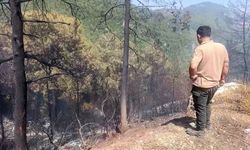 Antalya'da orman yangını (2)